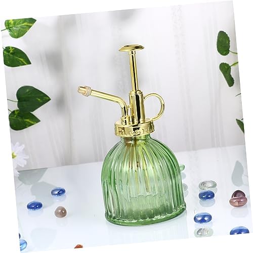 ORFOFE Watering can Retro Spray Watering Kettle Transparent Body Mist Spray Bottle Portable Garden Watering Pot with Long Spout for Smooth Pouring Indoor Outdoor Plant Care 6.29 in - Image 2