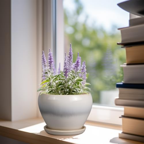 Ceramicfor Planter Pot 6 Inch - Ceramic Plant Pot with Drainage Hole and Saucer, Round Glaze Succulent Pot for Plants, White - Image 2
