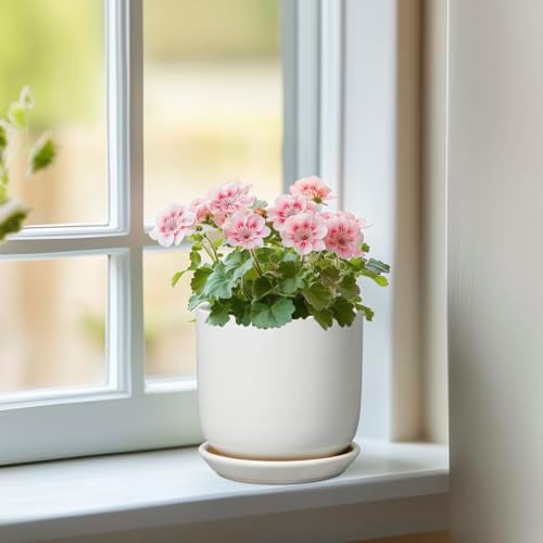 Indoor Plant Pot 5 Inch - Round Ceramic Planter for Succulent Plants with Drainage Hole and Saucer, Modern Home Decor, White - Image 2