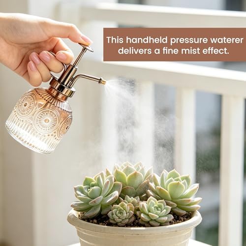 Glass Plant Mister, Vintage Spray Bottle with Fine Mist Pump - Image 5