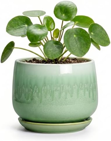 Ceramic Plant Pots - 4 Inch Pots for Plants with Drainage Hole and Saucer, Small Succulent Pot for Indoor Plants, Round Ceramic Planter, Home Office Decor, House Warming Gifts, Green by Fivepot