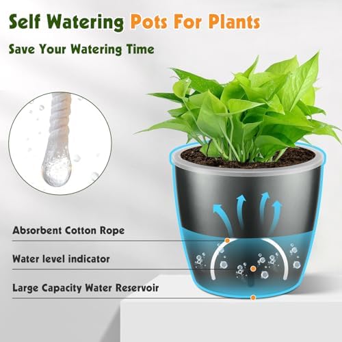 Self Watering Pots for Indoor Plants, 6-Pack 5'' Self Watering Planter with Drainage Holes, Small African Violet Pots with Water Indicator, Clear Wick Orchid Pot, Grey - Image 4