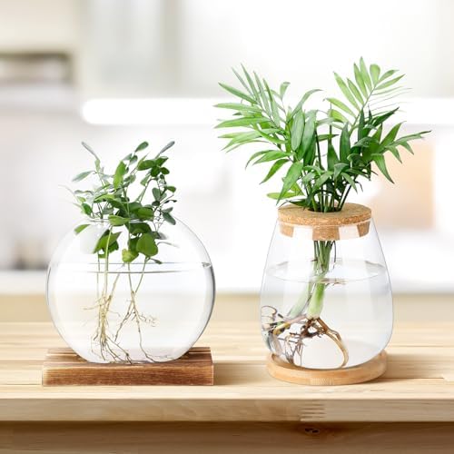 Layhit 4 Pcs Plants Propagation Stations vases Glass Planters with Wooden Lid and Bamboo Stand for Hydroponic Plants Gardening Gifts for Women Mom Home Office Tabletop Decoration(Cute Style) - Image 5