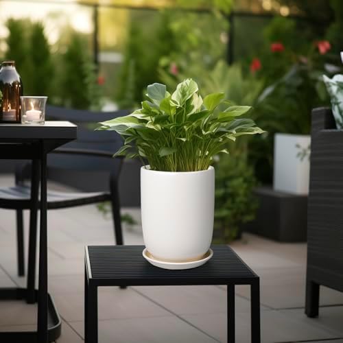Plant Pot 8 Inch - Ceramic Planter for Indoor Plants Outdoor, Large Plant Pot with Drainage Hole and Saucer, Modern Flower Pot, White - Image 4