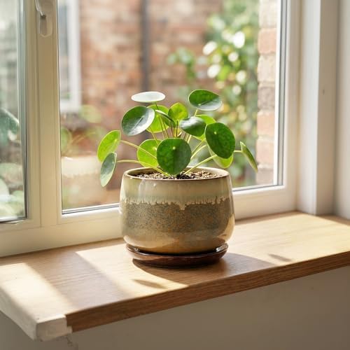 6 Inch Plant Pot - Ceramic Pots for Indoor Plants, Round Small Succulent Planter with Drainage and Saucer, Decorative Flower Pot, Office Room Decor, Gifts for Plant Lovers, Brown-Beige - Image 3