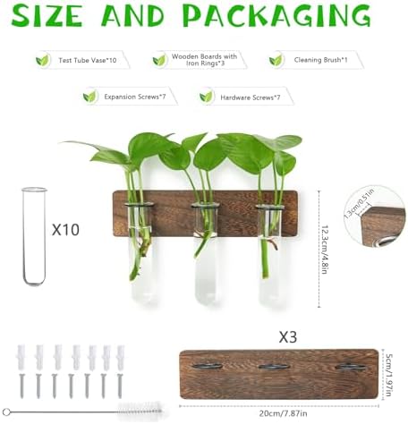 XXXFLOWER Wall Mounted Plant Terrarium with Wooden Stand 3 PCS - Image 2