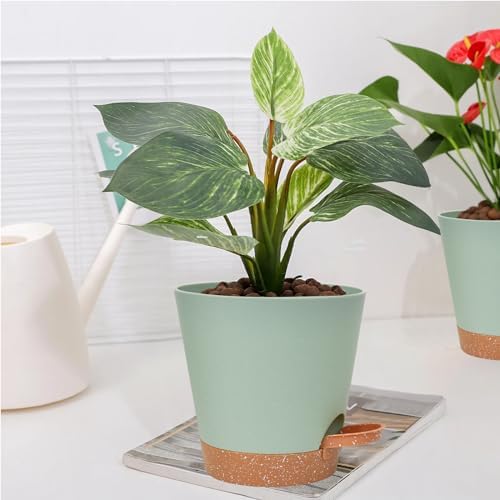 Vanslogreen Planters for Indoor Plants 7/6.5/6/5.5/5 Inch, Self Watering Planters with Drainage Holes and Saucers 5 Pack Plastic Pots for Plants, Succulents, Herbs, Cactus, Flower Pots, Green - Image 7