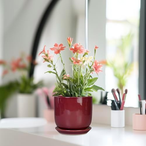 Ceramic Plant Pot - 5 Inch Modern Round Planter for Indoor Plants with Drainage Hole and Saucer, Patio Office House Room Bathroom Decor, Red - Image 6