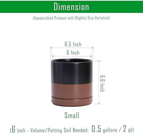 D'vine Dev 2-Pack Ceramic Pots with Saucers, Black/Tan, 6.5 in, 94-V-C-7 - Image 3