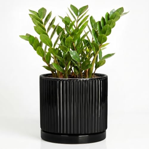 10 Inch Flower Pot, Ceramic Planter, Round Plant Pots, Black by Unknown
