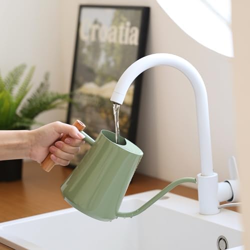 Green Moon 1L/35oz Metal Watering Can Indoor with Long Spout, Sage Green - Image 4