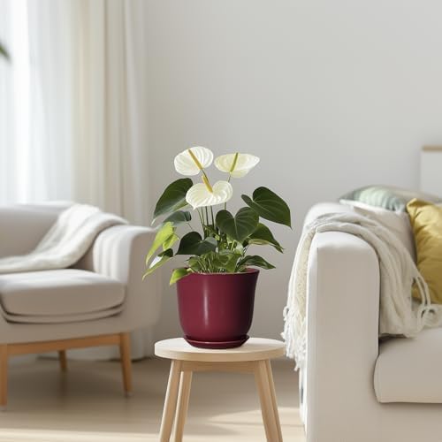 Ceramic Pots for Plants - 5.6 Inch Plant Pot for Indoor Outdoor, Round Succulent Orchid Pot with Drainage Hole and Saucer, Modern Small Planter, Window Office Desk Decor, Teacher Gifts, Red - Image 7