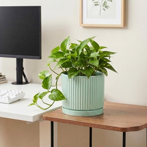 Ceramic Plant Pots, 8 Inch Pots for Plants with Saucer, Mint Green - Image 5