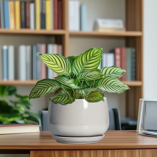 G EPGardening Ceramic Plant Pots, 7 Inch Plant Pot, Light Grey - Image 5