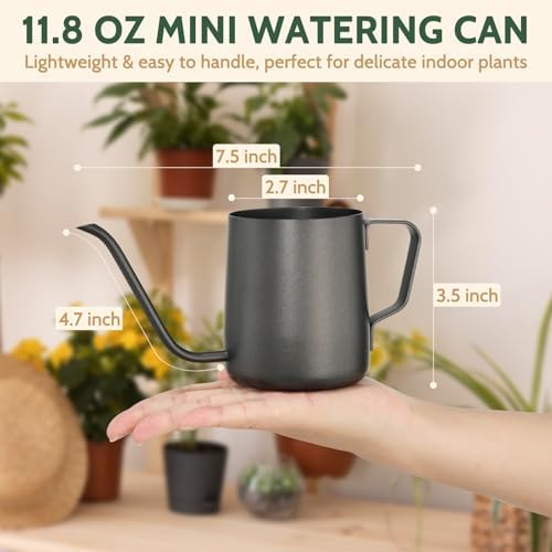 Small Watering Can Indoor Plants 12 OZ Mini Watering Can Stainless Steel - Image 3