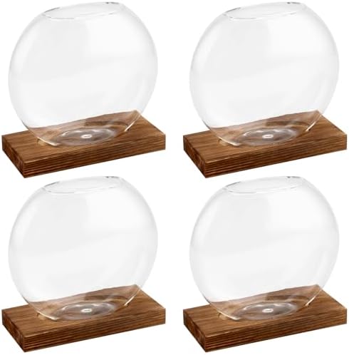 HAKZEON 4 Pack Desktop Round Glass Planter Hydroponics Vase, Glass Planter Terrarium Flower Vase with Wooden Stand, Propagated Plant Jars for Plants, Flower, Home Office Desktop Decor by HAKZEON