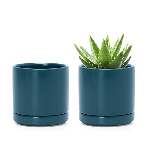 D'vine Dev 2-Pack Ceramic Pots with Saucers, Teal, 3.5 in, 94-V-A-9 by DvineDevPlanterPotsandStand