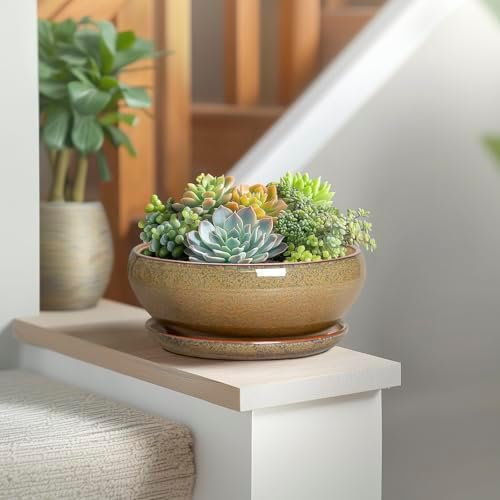 SQOWL Succulent Pots, 8 Inch Ceramic Bonsai Pots with Drainage Tray, Brown - Image 6