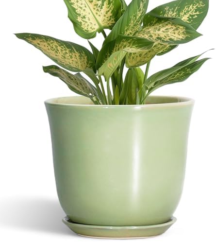 5.6 Inch Plant Pot - Ceramic Pots for Plants Indoor Outdoor, Round Orchid Succulent Pot with Drainage Hole and Saucer, Modern Small Planter, Home Room Window Decor, Plants Lover Gift, Green by SUNPOTFOR