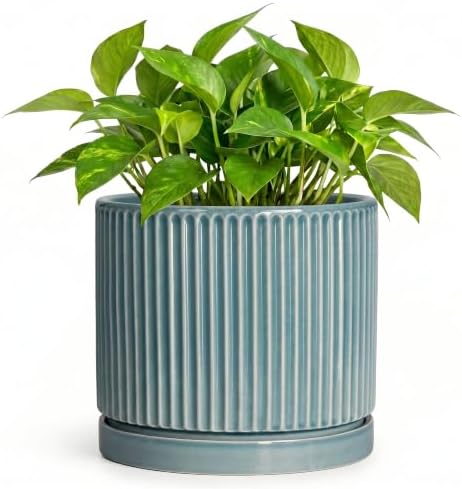 6 Inch Flower Pots, Ceramic Pots for Plants with Tray, Glaze Blue by Unknown