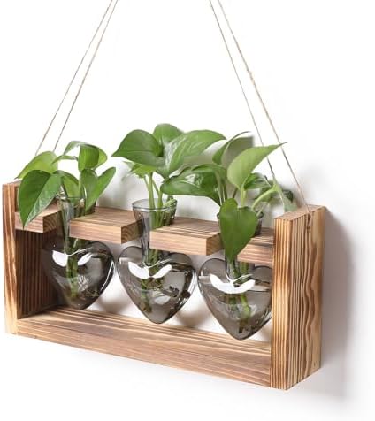 Plant Terrarium Propagation Stations Hydroponics by MTsigns