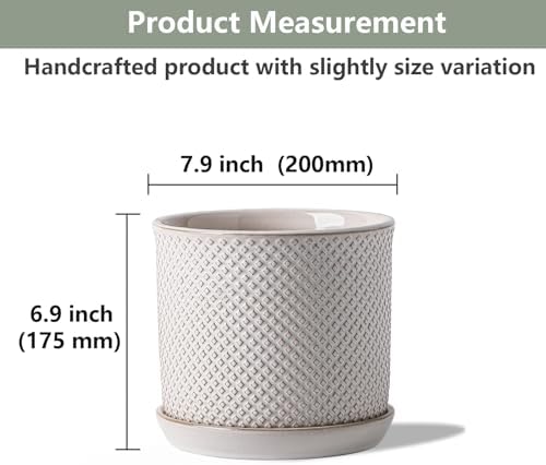 8 Inch Plant Pots: Ceramic Planter with Drainage Hole & Saucer - Flowerpot for Indoor & Outdoor Plants - Beaded Embossed Design White - with Separate Tray - Image 2