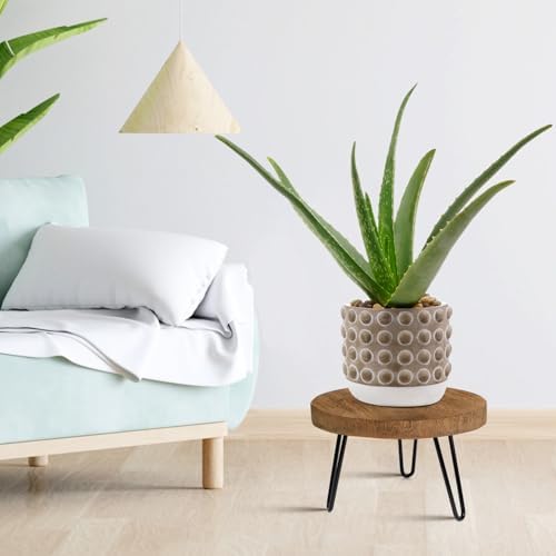 OBTAIN Plant Stand Indoor Outdoor Wood Mid Century Plant Stand for Indoor Plants, Modern Plant Table Round Plant Stool, Boho Rustic Wooden Stool for Plant Pot Hol (L) - Image 2