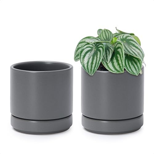 D'vine Dev 2-Pack Ceramic Pots with Saucers, Grey, 4.7 in, 94-V-B-3 by DvineDevPlanterPotsandStand