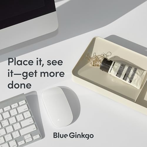 BLUE GINKGO Desk Organizer Tray, Beige, Made in Korea - Image 4
