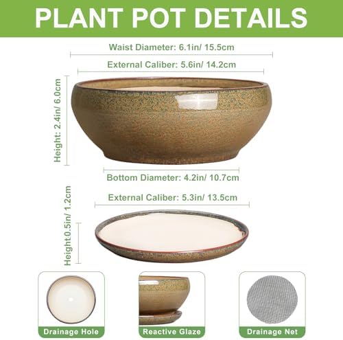 SQOWL Bonsai Pots Small - 6 Inch Ceramic Succulent Pots with Drainage Hole and Saucer, Shallow Round Planter for Indoor Plants Outdoor, Ceramic Cactus Planter, Patio Decor, Housewarming Gift, Brown - Image 2