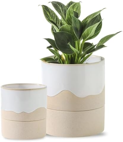 Nihow Self Watering Ceramic Planter, 4.5+6 Inch, White & Nature by Nihow