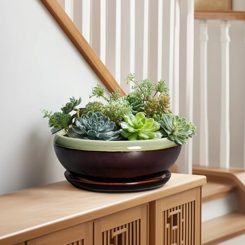 SQOWL Succulent Planters 10 Inch, Ceramic Bonsai Pots, Green-Brown - Image 3