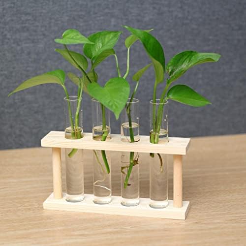Test Glass Planter Propagation Stand Holder Vase Set with Minimalist Wood Frame and Clear Tubes Suitable for Room Bedroom, Beige - Image 6