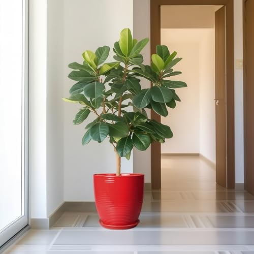 Ceramic Pot for Plants 12 Inch - Plant Pot Indoor with Drainage Hole and Saucer Round Large Planter for Outdoor Plants Mid Century Modern Flower Pot for Home Decor Red - Image 2