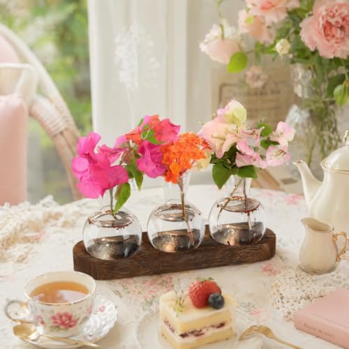 Plant Propagation Station with Wooden Stand, 3 Bulbs - Image 5