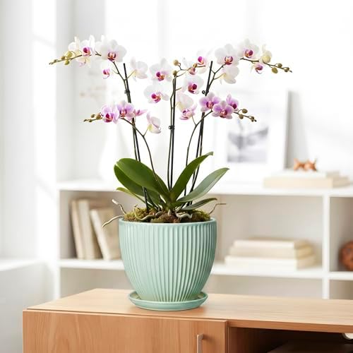 Ceramic Plant Pot, 8 Inch Flower Pots with Saucer, Mint Green - Image 5