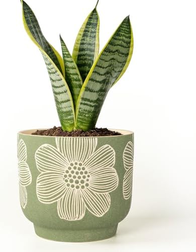 6 Inch Ceramic Plant Pots with Drainage Holes for Indoor Plants by YBXYIBOXUAN
