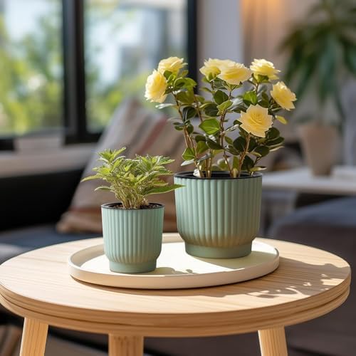 T4U Self Watering Pots for Indoor Plants, 4 Inch 6 Pack Planter Green - Image 5