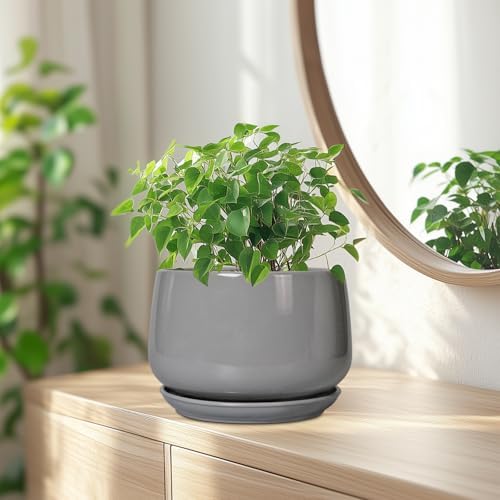 G EPGardening Ceramic Planter 7 Inch, Round, Modern, Gray - Image 6