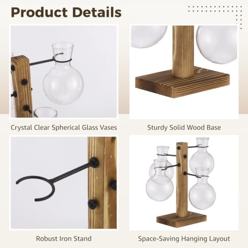 Hydroponic Plant Propagation Station, 4 Clear Round Glass Vases with Solid Wood Base, Mini Landscape Decor Set for Desktop Ornament, Home Garden Display, Ideal Choice for Plant Lovers - Image 4