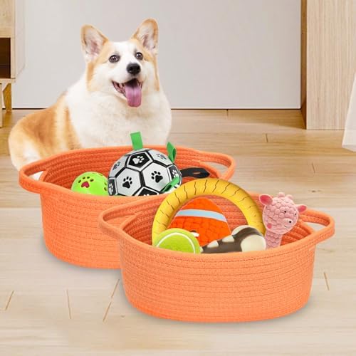 ABenkle Small Basket with Handles, Boho Decorative Rope Woven Dog Cat Toy Storage Bin Shelf Storage Organizer, Easter Christmas Gift Basket, 12"x8"x5" - Image 4