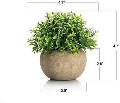Velener 2Pcs Mini Artificial Boxwood Topiary Faux Plants Indoor- Small Fake Plants Decor Magnolia Home Office Desk Cubicle Farmhouse Kitchen Bookshelf Bedroom Bathroom Decor, Aloe Vera Zen Garden - Image 2