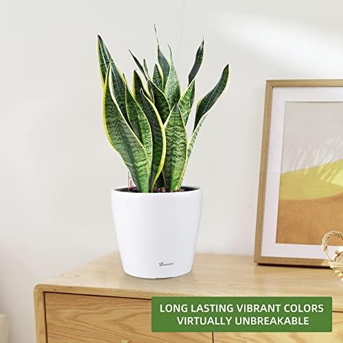 Dexceder 11x10 Self Watering Planter (White High Gloss) - Image 6