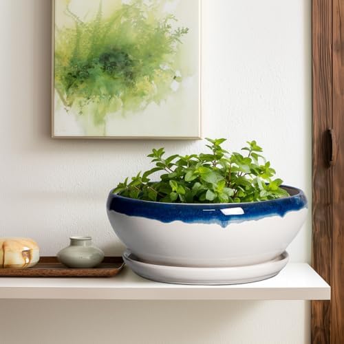 SQOWL Bonsai Tree Pots - 12 Inch Ceramic Succulent Planters, Large Bonsai Pot with Drainage Hole and Tray, Shallow Planter Indoor, Bowl Round Planter, Home Decor, Plant Lover Gift, Blue Off-White - Image 5