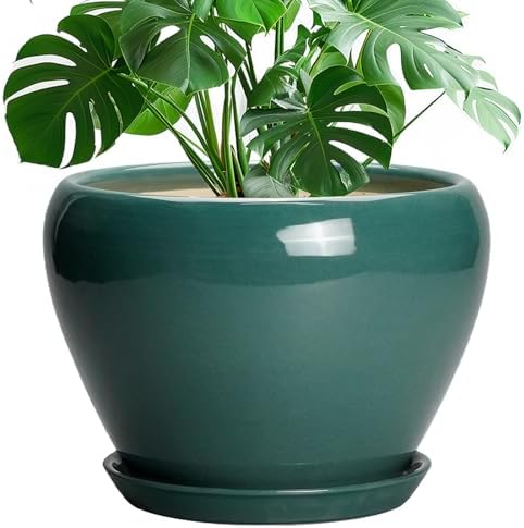 Ceramicfor Ceramic Planter for Indoor Plants 10 Inch, Green by Ceramicfor