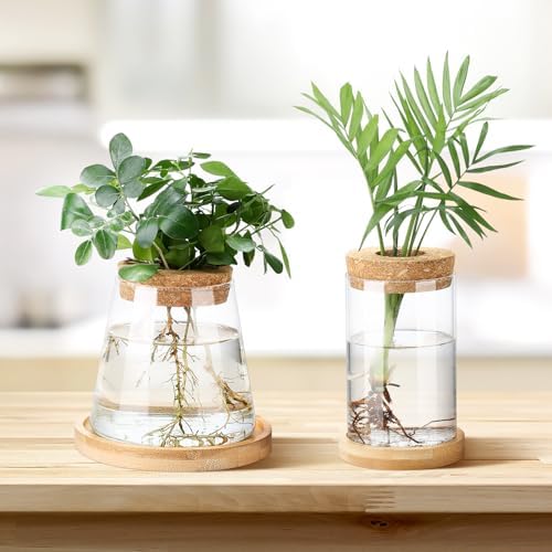 Layhit 4 Pcs Plants Propagation Stations vases Glass Planters with Wooden Lid and Bamboo Stand for Hydroponic Plants Gardening Gifts for Women Mom Home Office Tabletop Decoration(Stylish Style) - Image 5