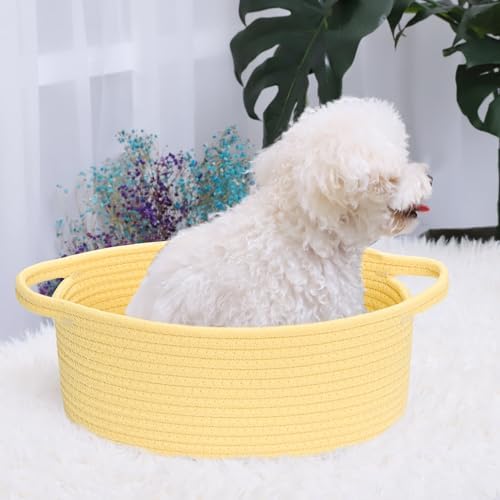 ABenkle Small Basket with Handles, Boho Decorative Rope Woven Dog Cat Toy Storage Bin Shelf Storage Organizer, Easter Christmas Gift Basket, 12"x8"x5" - Image 4