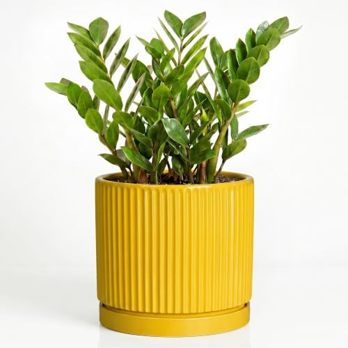 Ceramic Pots for Plants, 10 Inch Plant Pots with Tray, Yellow by Unknown