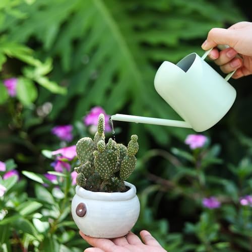 Mini Watering Can, 10oz/300ml Stainless Steel Long Spout Small Watering Can for Indoor Plants Succulents, Herbs (Green) - Image 2