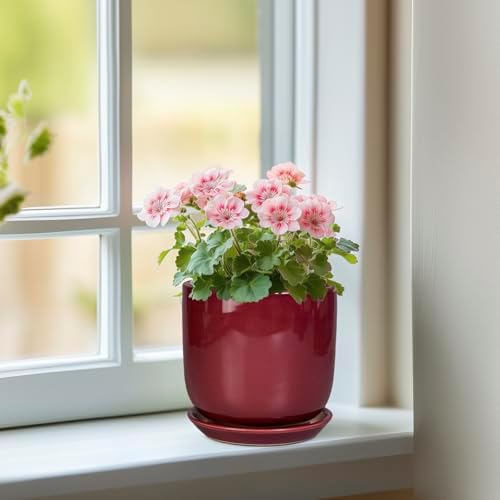 Ceramic Plant Pot - 5 Inch Modern Round Planter for Indoor Plants with Drainage Hole and Saucer, Patio Office House Room Bathroom Decor, Red - Image 2